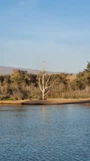 2023-11-GranCan-Maspalomas_Oasis-24.jpg